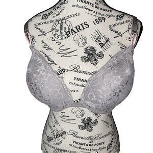 Victoria Secret Push-Up Lace Bra Size 34DDD Lavender Gray Mesh Sides Straps